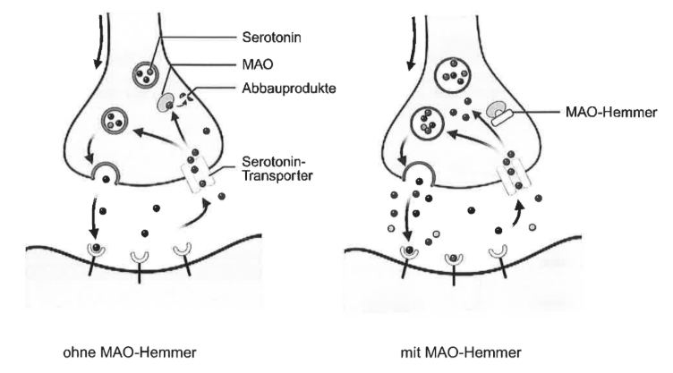 Schematische Darstellung des Serotoninabbaus ohne und mit MAO-Hemmer.